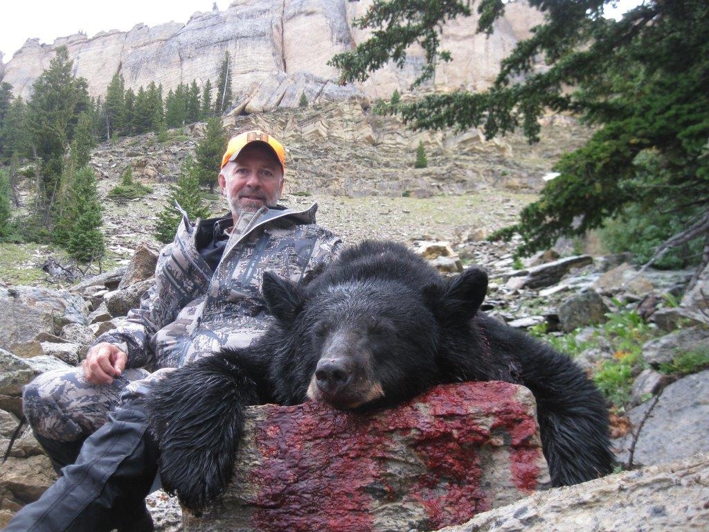 Black Bear Hunts Wyoming